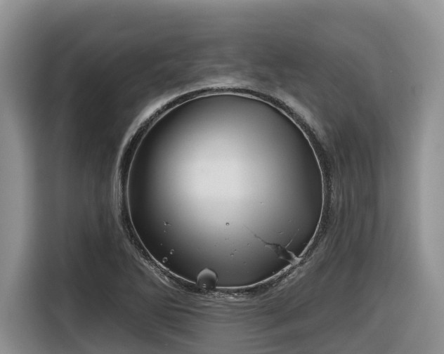 X0000116671270200912141333