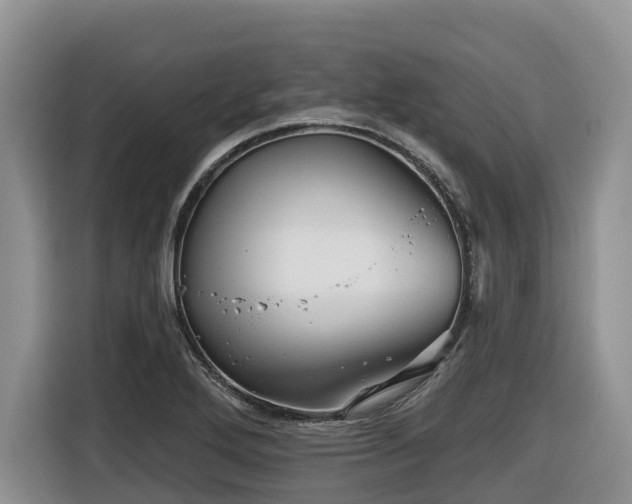 X0000116671272200912141333