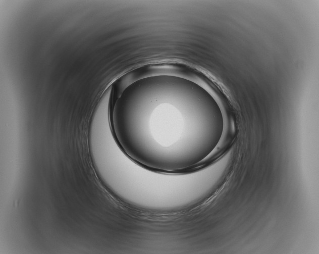 X0000116671273200912141333