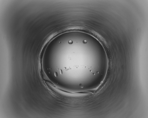 X0000116671274200912141333