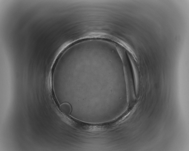 X0000116671275200912141333