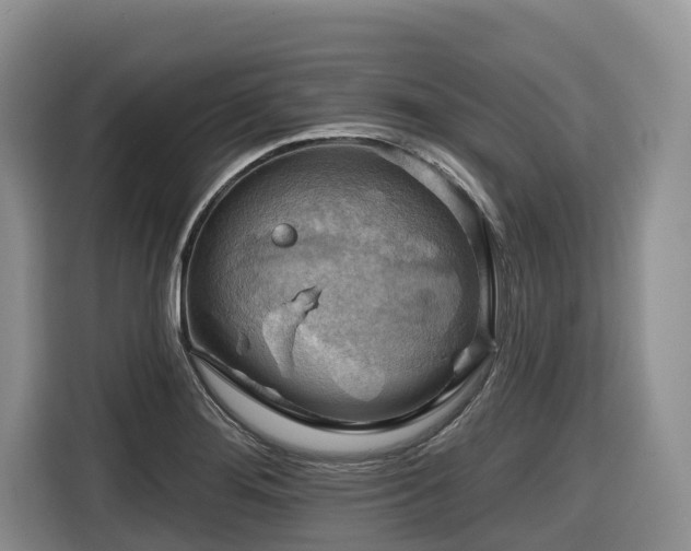 X0000116671276200912141333