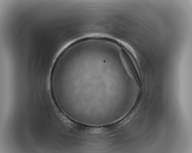 X0000116671279200912141333