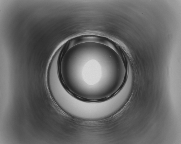 X0000116671280200912141333