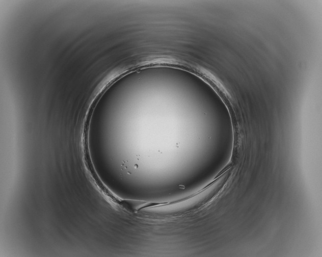 X0000116671282200912141333