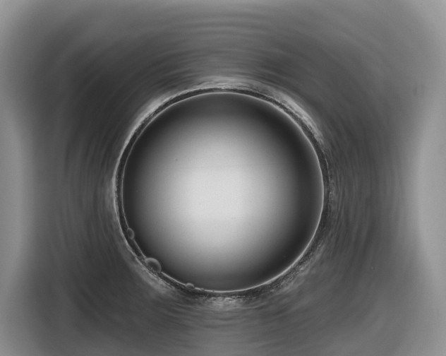 X0000116671283200912141333