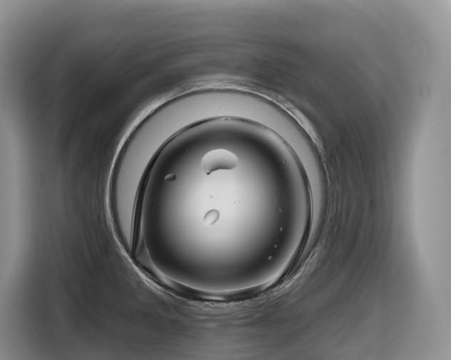 X0000116671285200912141333