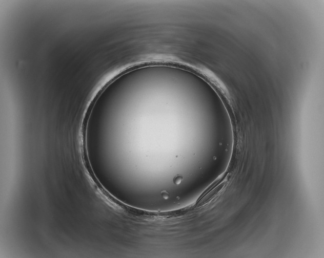 X0000116671287200912141333