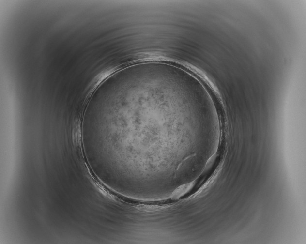 X0000116671289200912141333