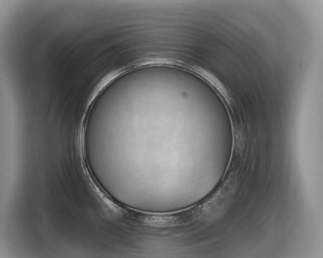 X0000116671290200912141333