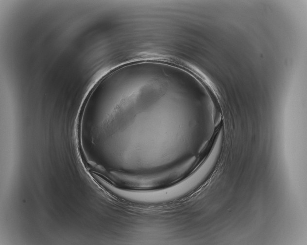 X0000116671291200912141333