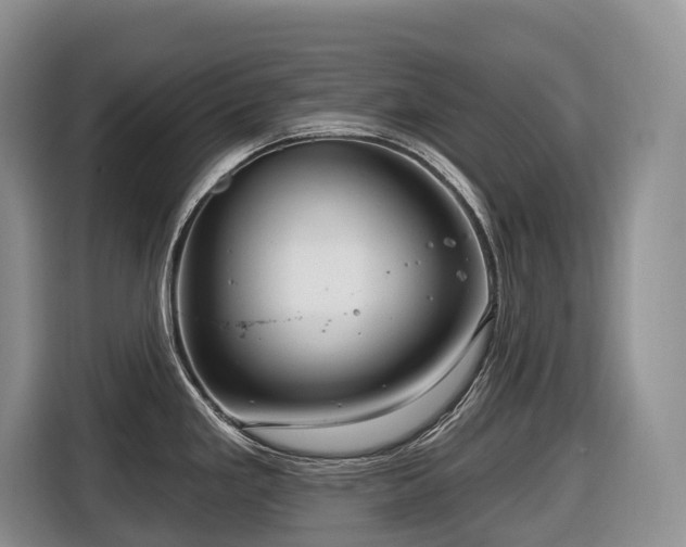 X0000116671293200912141333