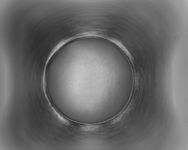 X0000116671294200912141333