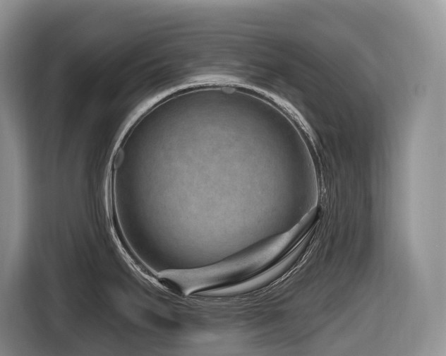 X0000116671295200912141333