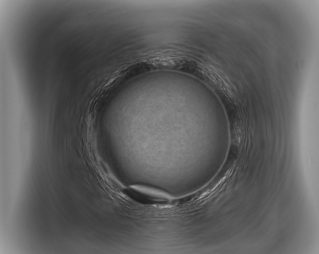 X0000116671297200912141332