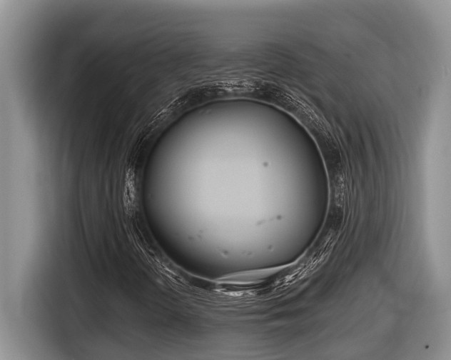 X0000116671298200912141332