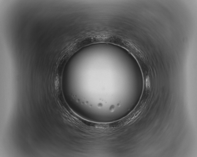 X0000116671299200912141332