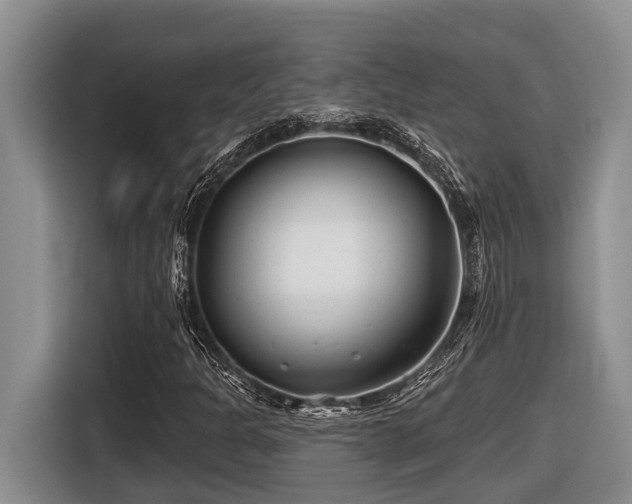 X0000116671301200912141332