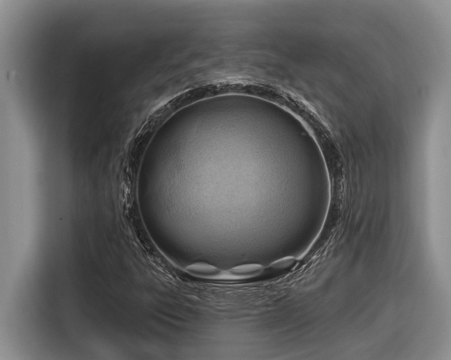 X0000116671303200912141332