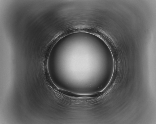 X0000116671305200912141332