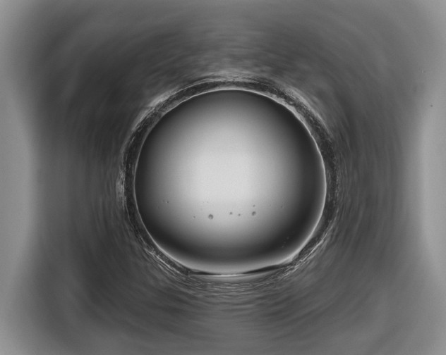 X0000116671307200912141332