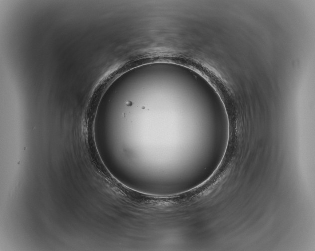 X0000116671309200912141332