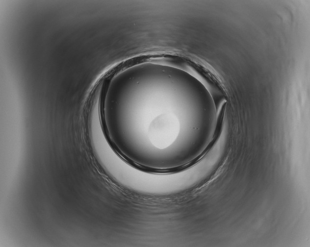 X0000116671310200912141332