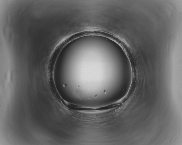 X0000116671311200912141332