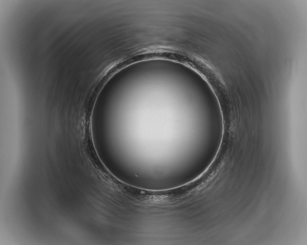 X0000116671313200912141332