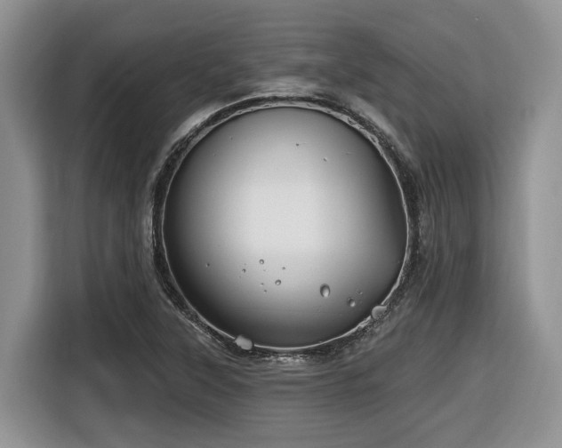 X0000116671315200912141332