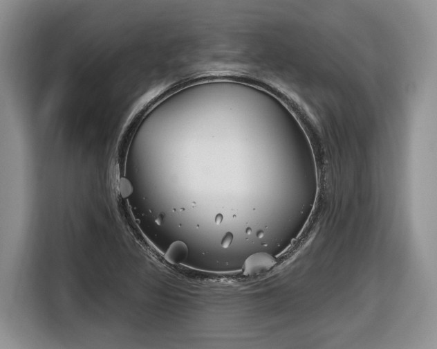 X0000116671317200912141332