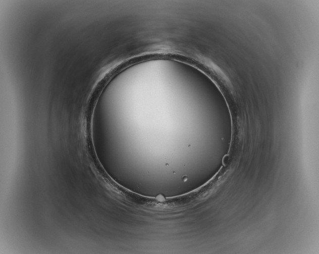 X0000116671318200912141332