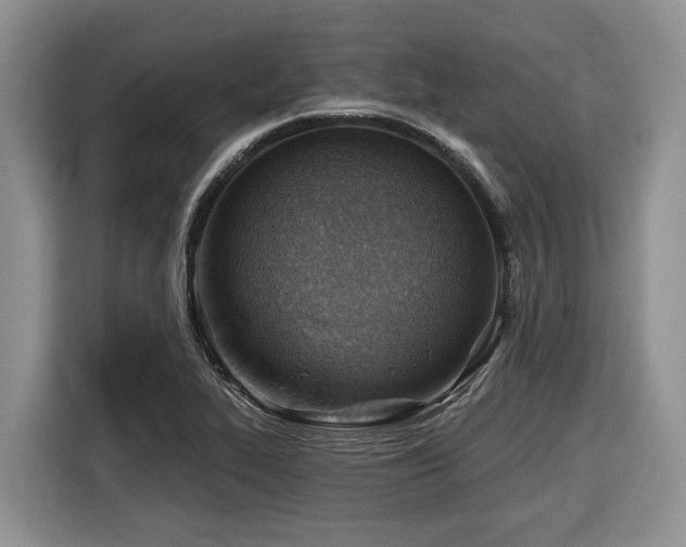 X0000116671319200912141333