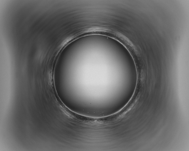 X0000116671321200912141333