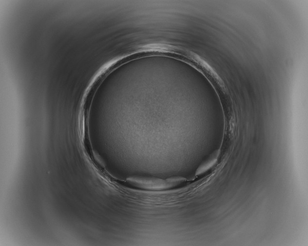 X0000116671323200912141333