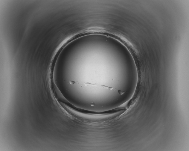 X0000116671325200912141333