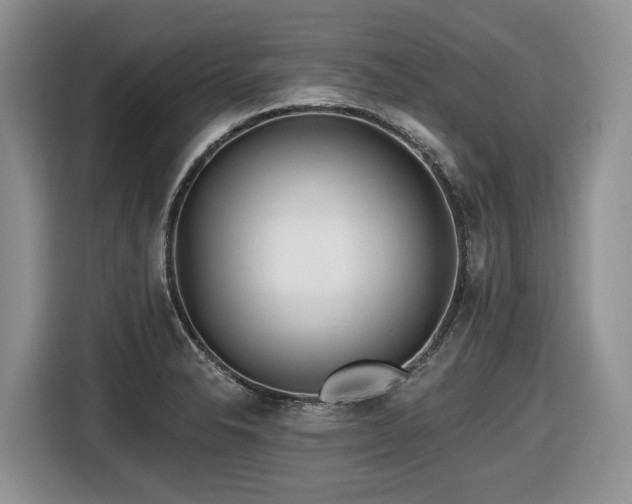 X0000116671326200912141333