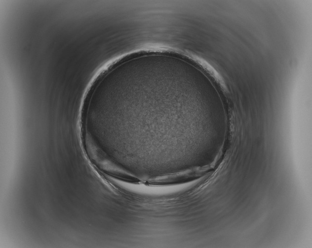 X0000116671327200912141333