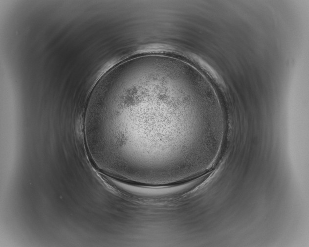 X0000116671329200912141333