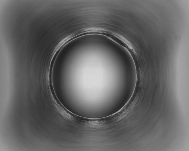 X0000116671330200912141333