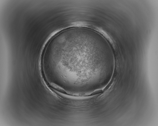 X0000116671331200912141333