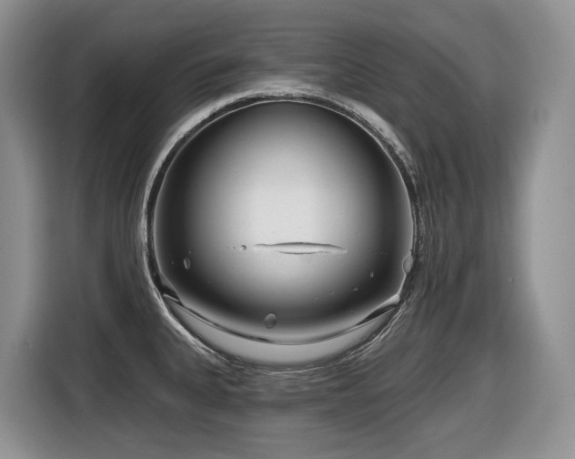 X0000116671335200912141333