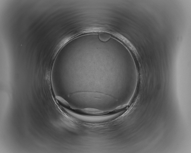 X0000116671337200912141333