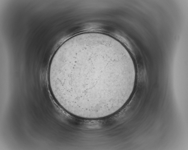 X0000116671338200912141333