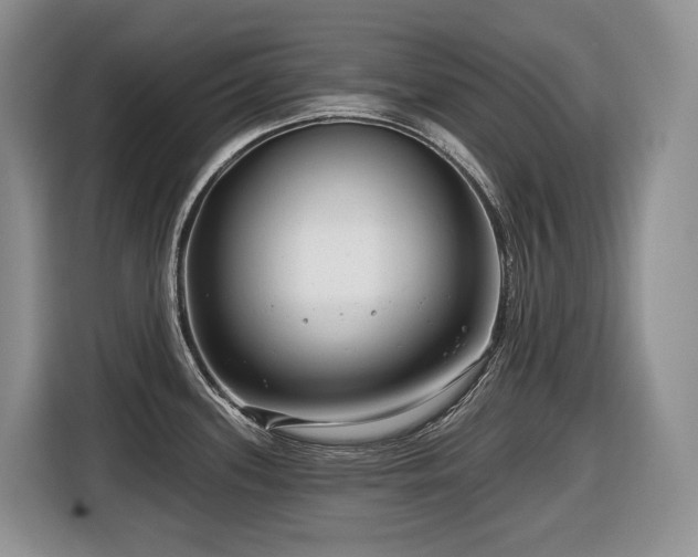 X0000116671339200912141333