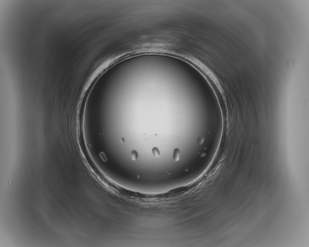 X0000116671341200912141333