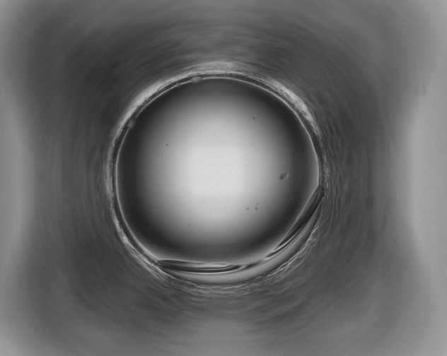 X0000116671342200912141333