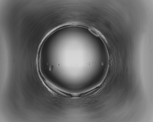 X0000116671343200912141333