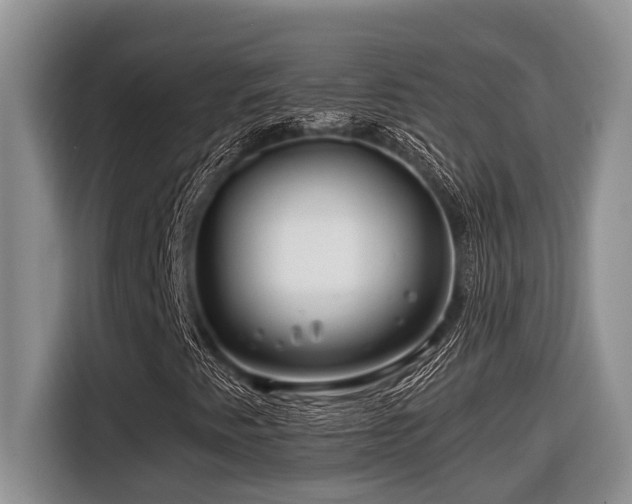 X0000116671345200912141332