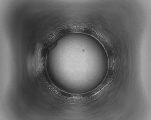 X0000116671346200912141332